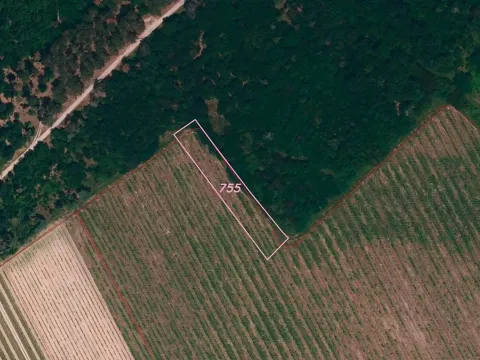 Dražba pozemku, Znojmo, 1683 m2