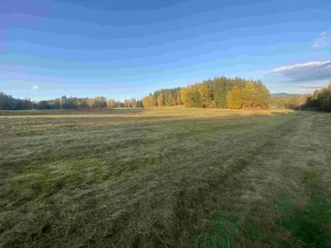 Dražba louky, Cvikov, 7470 m2