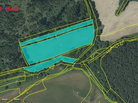 Prodej louky, Kynšperk nad Ohří, 20332 m2