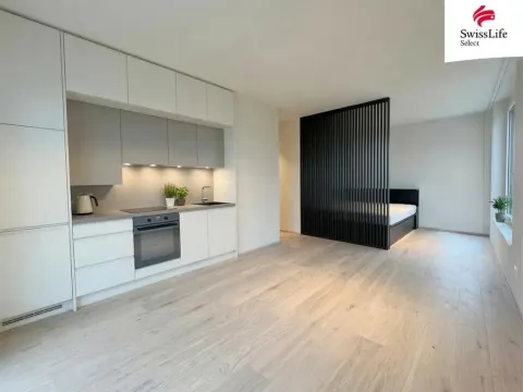 Pronájem bytu 1+kk, Plzeň, 38 m2