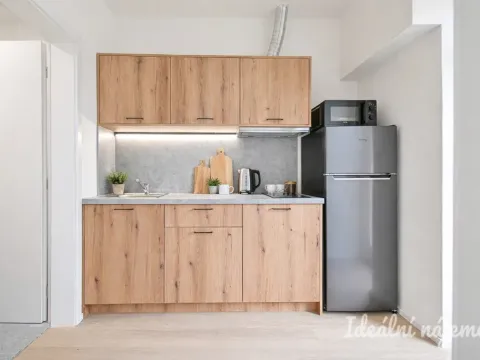 Pronájem bytu 1+1, Brno, Bubeníčkova, 25 m2