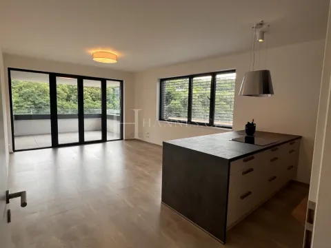 Pronájem bytu 2+kk, Praha - Karlín, U Sluncové, 65 m2