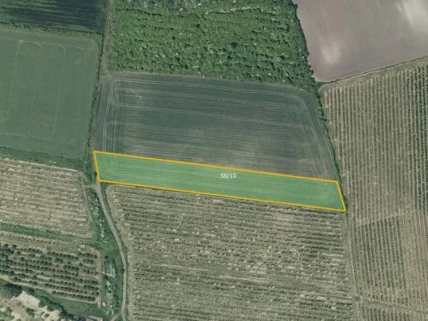 Prodej pole, Želkovice, 7043 m2