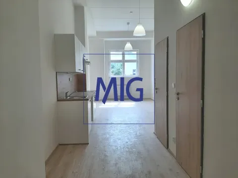 Pronájem bytu 1+kk, Rosice, Sportovní, 41 m2