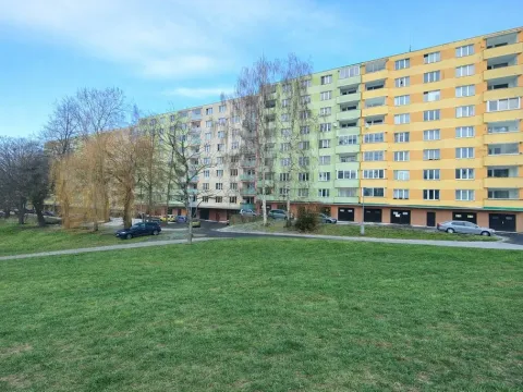 Pronájem bytu 1+kk, Sokolov, Švabinského, 20 m2