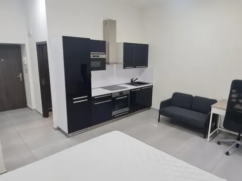 Pronájem bytu 1+kk, Brno - Brno-město, 30 m2