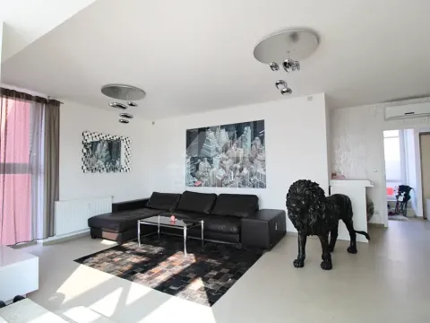 Pronájem bytu 3+kk, Plzeň, Goldscheiderova, 250 m2