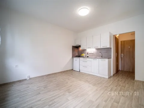 Pronájem bytu 1+kk, České Budějovice - České Budějovice 3, Plzeňská, 21 m2