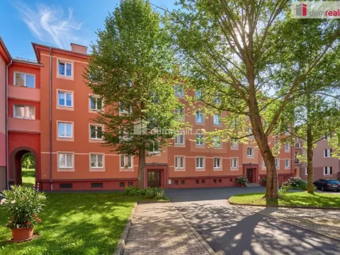 Prodej bytu 2+1, Ostrov, Horská, 63 m2