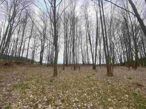 Prodej pozemku, Žinkovy, 4837 m2