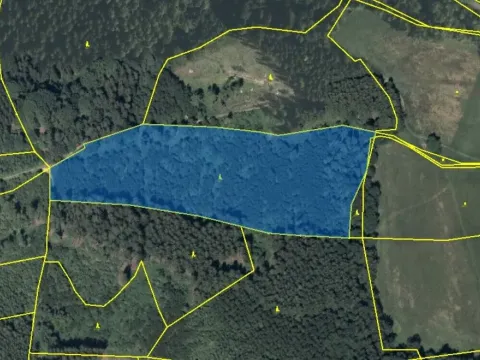 Pronájem pole, Dlouhá Třebová, 23172 m2