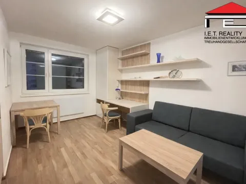 Pronájem bytu 1+kk, Brno, Údolní, 23 m2