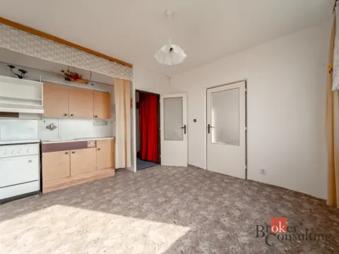 Prodej bytu 1+1, Litvínov - Horní Litvínov, Tylova, 36 m2