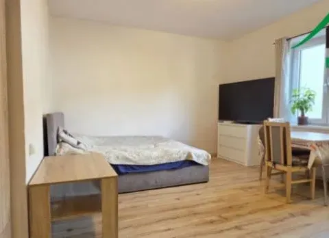 Pronájem bytu 1+kk, Tachov, Boženy Němcové, 27 m2