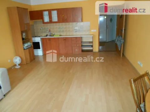 Pronájem bytu 1+kk, Příbram - Příbram III, Dlouhá, 43 m2