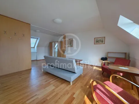 Pronájem bytu 1+kk, Bílovice nad Svitavou, Šebelova, 51 m2