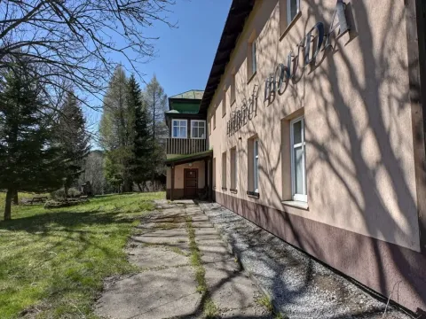 Prodej chalupy, Strážné, 793 m2