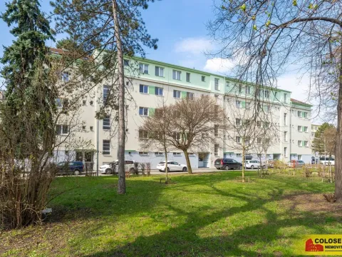 Prodej bytu 2+kk, Brno - Černovice, 61 m2