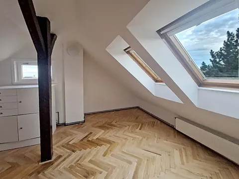 Pronájem pokoje, Praha, Na Větrníku, 30 m2