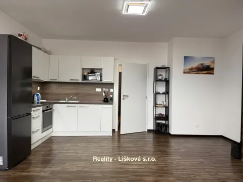 Pronájem bytu 1+kk, Ústí nad Labem, Velká Hradební, 40 m2