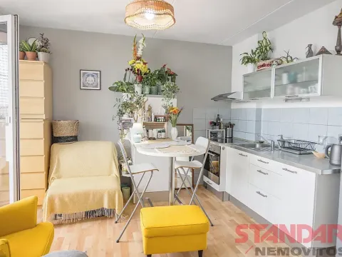 Pronájem bytu 1+kk, Plzeň, Tachovská, 34 m2