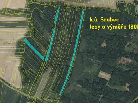 Prodej lesa, Srubec, Ledenická-Škarda, 18018 m2