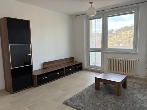 Pronájem bytu 1+1, Brumov-Bylnice, Am. Kutinové, 38 m2