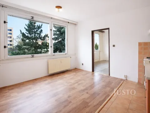 Prodej bytu 1+1, Písek - Budějovické Předměstí, třída Přátelství, 38 m2