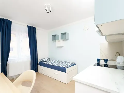 Prodej bytu 1+kk, Praha - Krč, Čerčanská, 18 m2