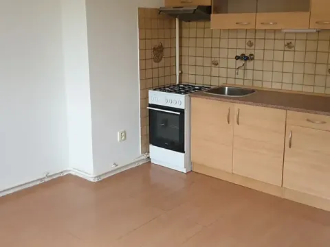 Pronájem bytu 1+kk, Novosedlice, Drahénská, 30 m2