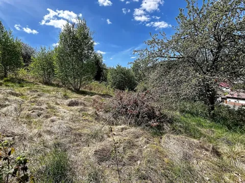 Prodej pozemku pro bydlení, Kraslice, 1039 m2