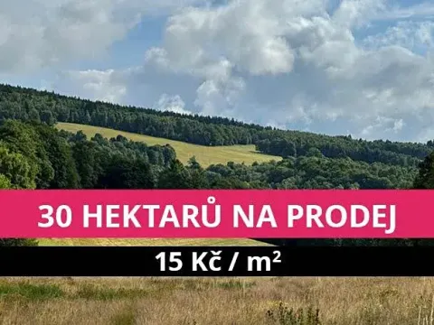 Prodej louky, Stráž nad Ohří, 308543 m2
