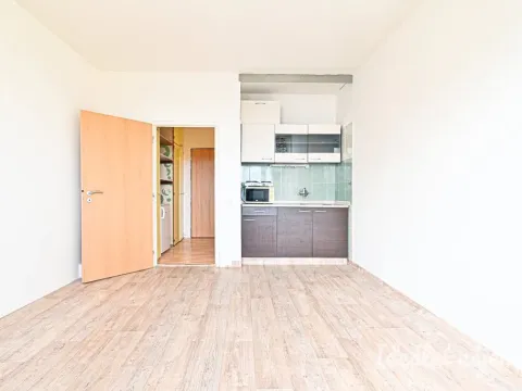 Pronájem bytu 1+kk, Brno, Halasovo náměstí, 22 m2