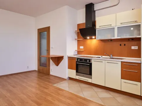 Pronájem bytu 1+kk, Praha, Milotická, 35 m2