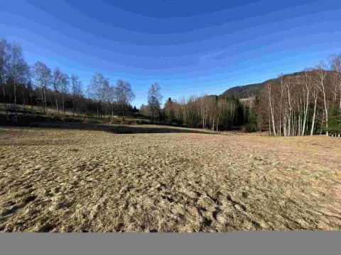 Prodej pozemku, Bernartice, 11266 m2