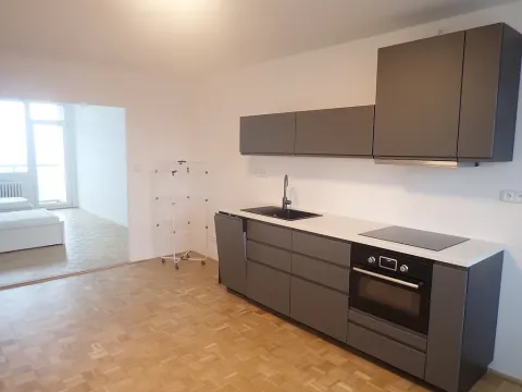 Pronájem bytu 2+kk, Liberec - Liberec XIV-Ruprechtice, Na Pískovně, 58 m2