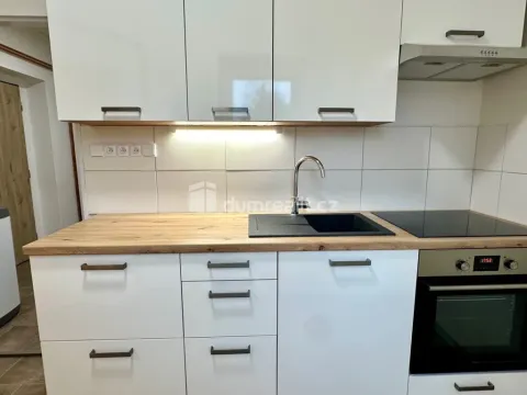 Pronájem bytu 1+1, Děčín - Děčín II-Nové Město, Lipová, 36 m2
