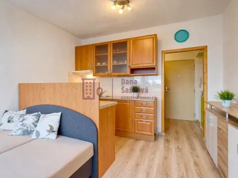 Pronájem bytu 1+kk, Jindřichův Hradec - Jindřichův Hradec II, sídliště U Nádraží, 25 m2