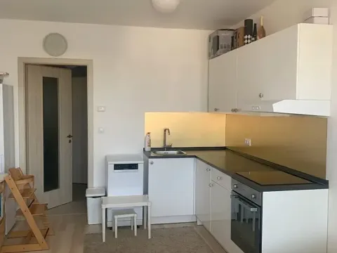 Pronájem bytu 1+kk, Praha - Třebonice, Do zahrádek I, 33 m2