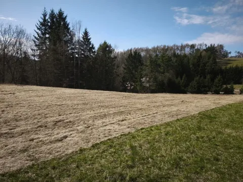 Prodej pozemku pro bydlení, Slapy, 2924 m2