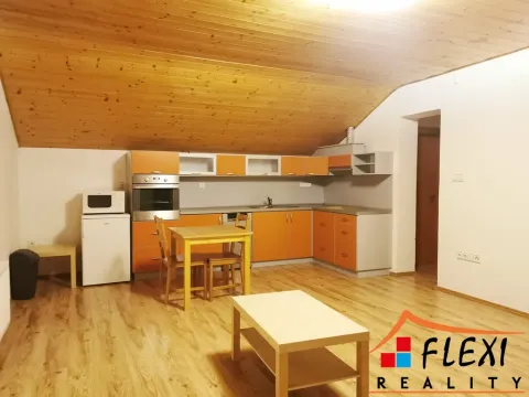 Pronájem bytu 1+kk, Frýdek-Místek, Hluboká, 51 m2