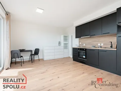 Pronájem bytu 1+kk, Heřmanova Huť - Vlkýš, U Pondu, 35 m2