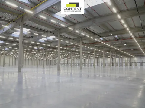 Pronájem skladu, Hladké Životice, Kujavská, 29000 m2