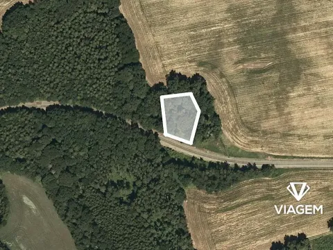 Prodej podílu lesa, Mladějov na Moravě, 1594 m2