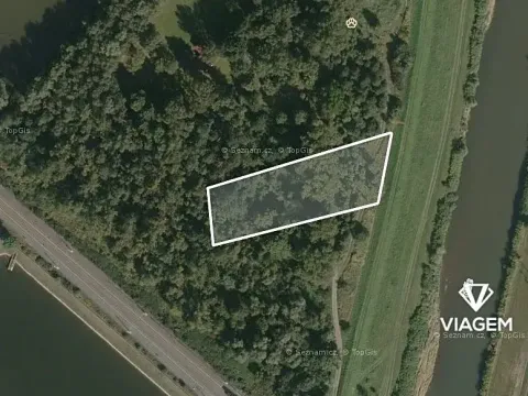 Prodej podílu lesa, Dětmarovice, 1487 m2