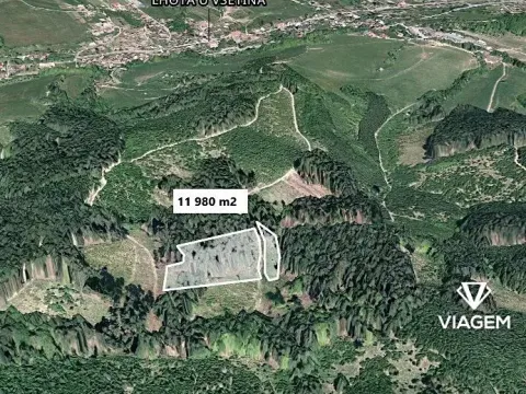 Prodej lesa, Lhota u Vsetína, 11980 m2