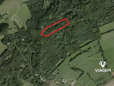 Prodej podílu lesa, Nový Jičín, 3706 m2
