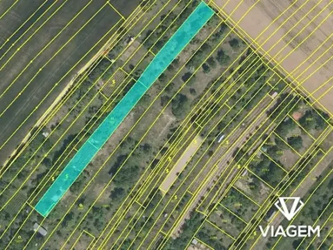 Prodej zahrady, Ždánice, 2441 m2