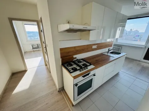 Pronájem bytu 3+1, Most, M. G. Dobnera, 62 m2