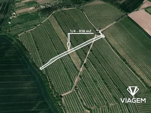 Prodej podílu pole, Boršice, 856 m2